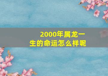 2000年属龙一生的命运怎么样呢