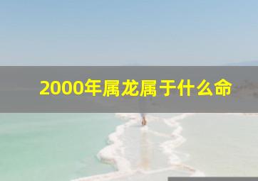 2000年属龙属于什么命