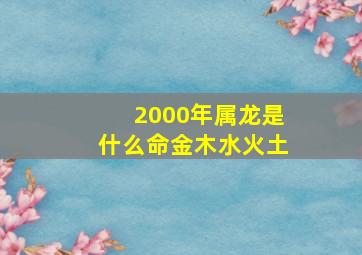 2000年属龙是什么命金木水火土