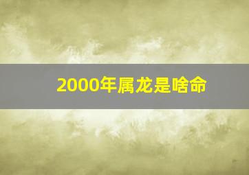 2000年属龙是啥命