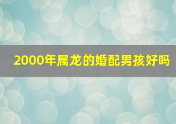 2000年属龙的婚配男孩好吗