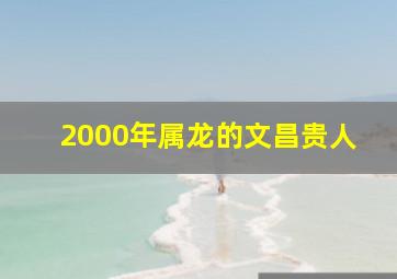 2000年属龙的文昌贵人