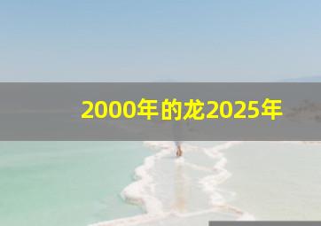 2000年的龙2025年