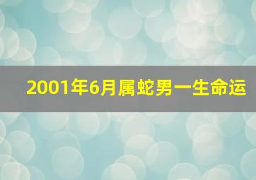 2001年6月属蛇男一生命运