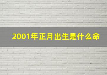 2001年正月出生是什么命