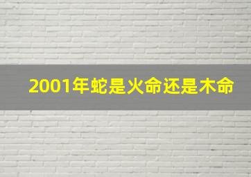 2001年蛇是火命还是木命