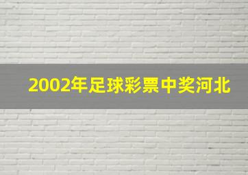 2002年足球彩票中奖河北