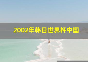 2002年韩日世界杯中国