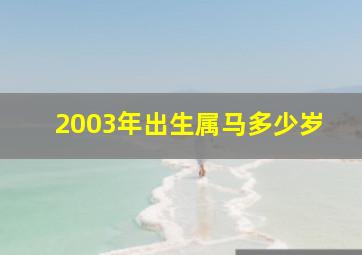 2003年出生属马多少岁