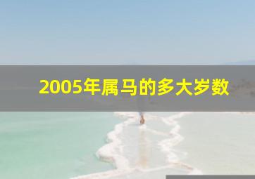 2005年属马的多大岁数