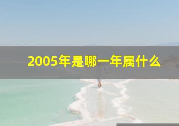 2005年是哪一年属什么