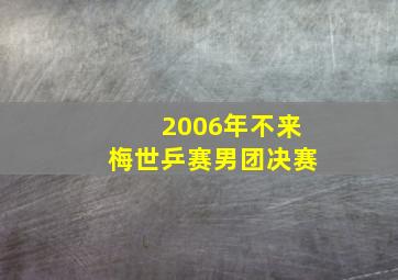 2006年不来梅世乒赛男团决赛