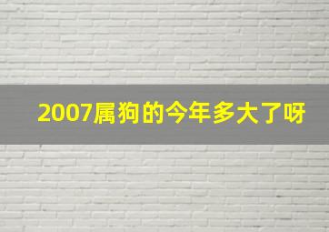 2007属狗的今年多大了呀