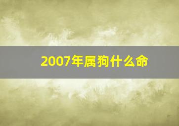 2007年属狗什么命