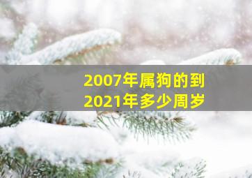 2007年属狗的到2021年多少周岁