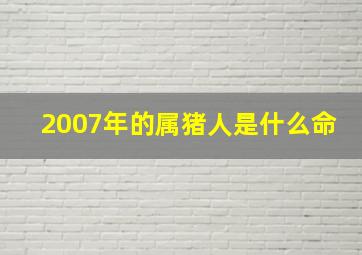 2007年的属猪人是什么命