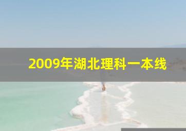 2009年湖北理科一本线