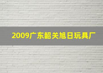 2009广东韶关旭日玩具厂