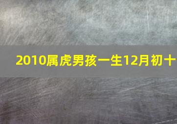 2010属虎男孩一生12月初十