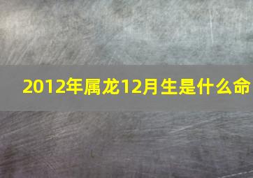 2012年属龙12月生是什么命