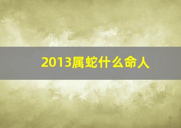 2013属蛇什么命人