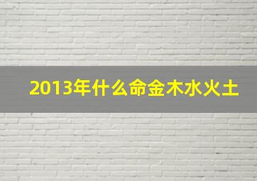 2013年什么命金木水火土