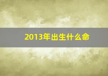 2013年出生什么命