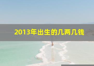 2013年出生的几两几钱