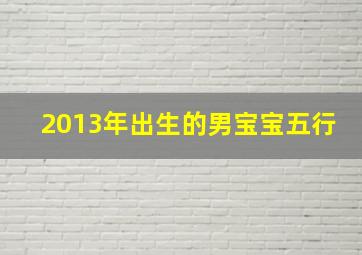 2013年出生的男宝宝五行