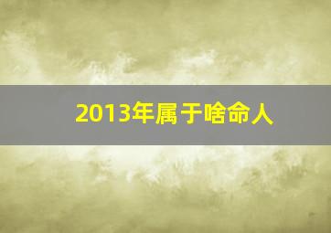 2013年属于啥命人