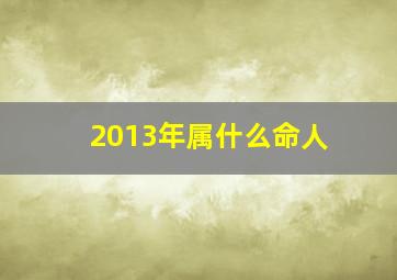 2013年属什么命人