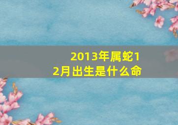 2013年属蛇12月出生是什么命