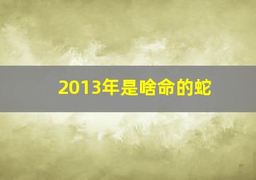 2013年是啥命的蛇