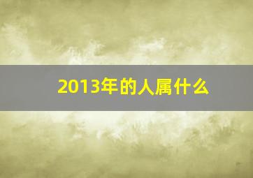 2013年的人属什么