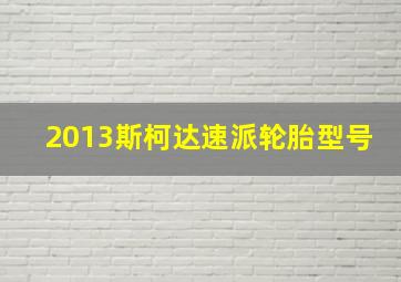 2013斯柯达速派轮胎型号