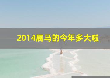 2014属马的今年多大啦