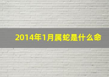 2014年1月属蛇是什么命