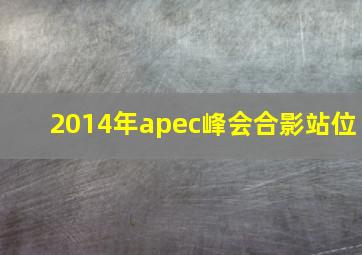 2014年apec峰会合影站位