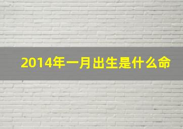 2014年一月出生是什么命