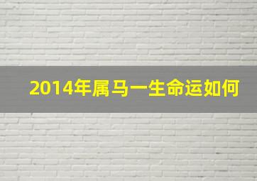 2014年属马一生命运如何