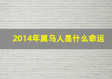 2014年属马人是什么命运