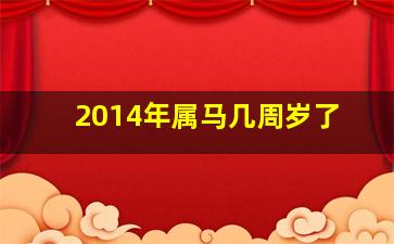 2014年属马几周岁了