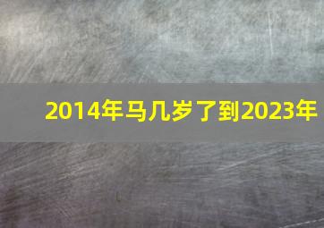 2014年马几岁了到2023年