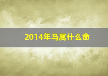 2014年马属什么命