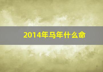 2014年马年什么命