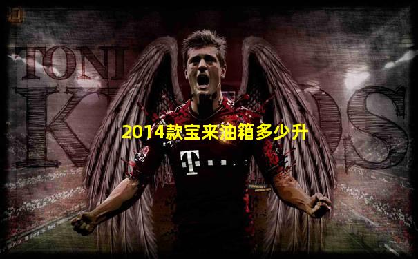 2014款宝来油箱多少升