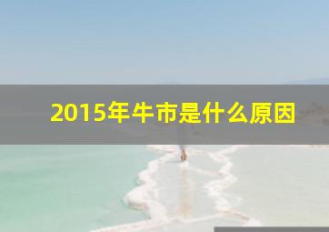 2015年牛市是什么原因