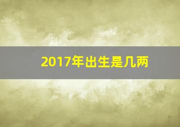 2017年出生是几两