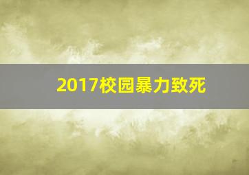 2017校园暴力致死