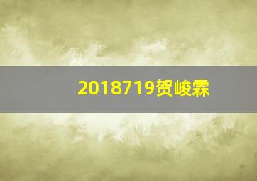 2018719贺峻霖